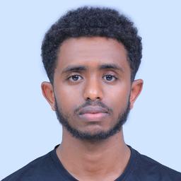 Nafyad H. - Software Engineer - Backend, Web and Automation Platforms