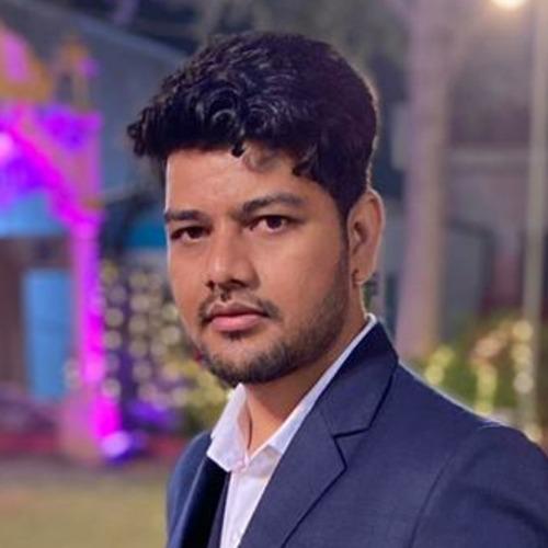 Narendra Singh R. - SvelteJs Developer