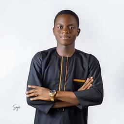 Nathaniel O. - Software Engineer - Web, Ecommerce and General Development