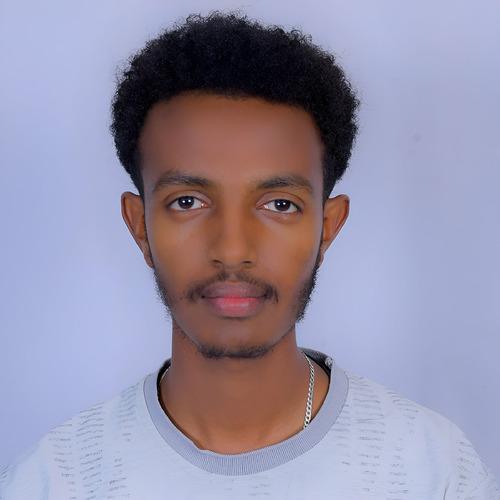 Nathnael T. || item.role}