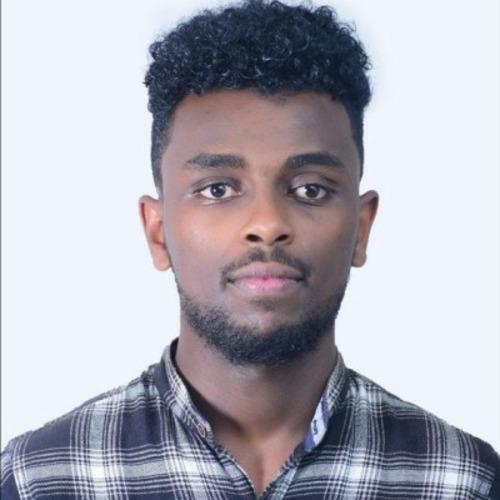 Natnael A. || item.role}