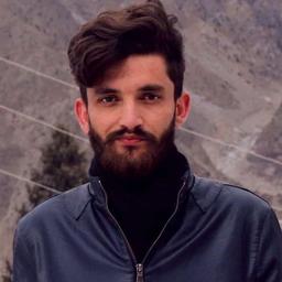 Naveed A. - Lead Software Engineer - AI, Automation and Full-Stack Development