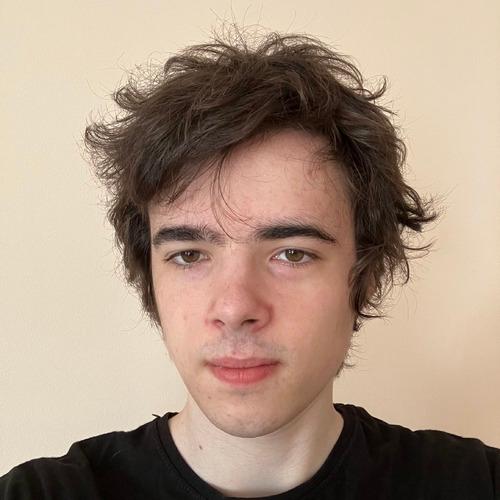 Nazarii M. || item.role}