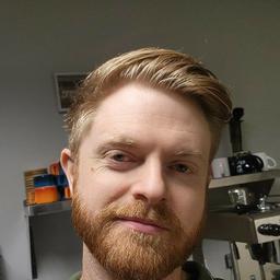 Nelson B. - Lead Security Engineer - Cybersecurity, Network and Compliance Platforms