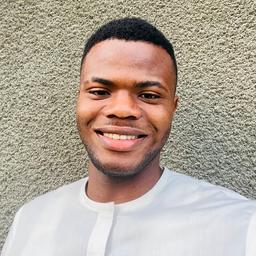 Nelson N. - Software Engineer - Frontend, Backend and Mobile Platforms