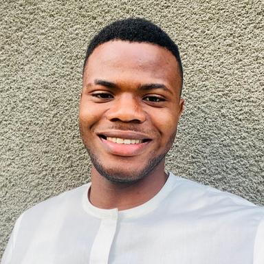 Nelson N. - Software Engineer - Frontend, Backend and Mobile Platforms