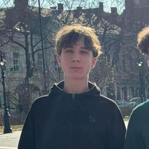 Nemeth C. || item.role}