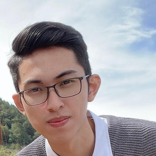 Profile of Nguyen Thien Q., Software Engineer - Mobile, Backend and App Development at Softaims