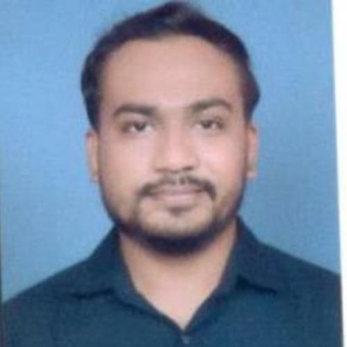 Nilesh M. || item.role}