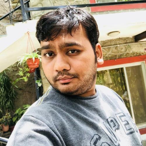 Profile of Nilesh T., Senior Frontend Engineer - Shopify, WordPress and Ecommerce Platforms at Softaims
