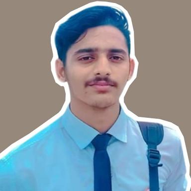 Nishant B. - Software Engineer - Full-Stack, Vue.js and General Development