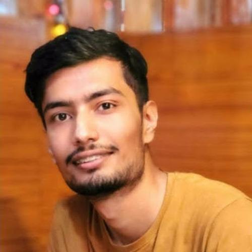 Nishant D. - Prompt Engineer