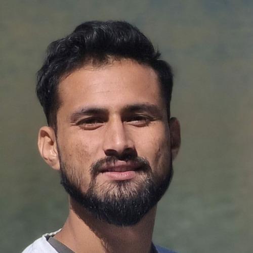 Nitish P. || item.role}