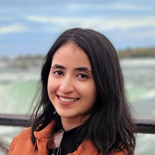 Profile of Niyati V., Junior Software Engineer - CRM, Salesforce and App Development at Softaims