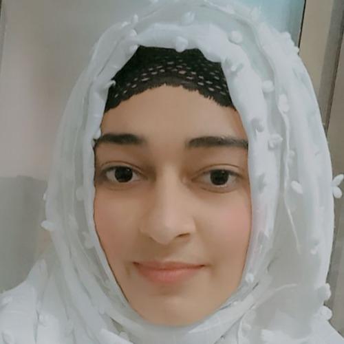 Noor UL S. || item.role}