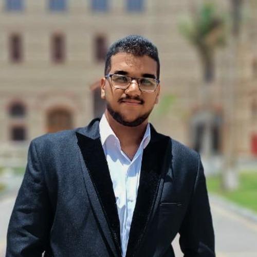 Nour El Dien  H. || item.role}