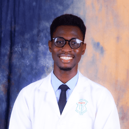 Oduntan T. - Software Engineer - Audio, Music Production and General Development