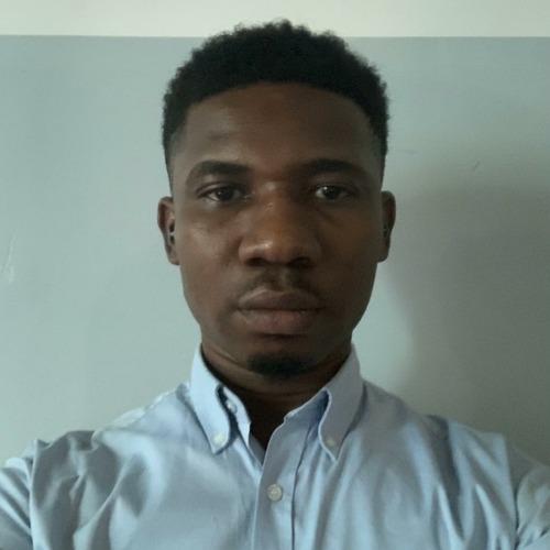 Profile of Okoro G., Data Scientist at Softaims