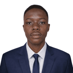 Olamide O. - Junior Software Engineer - Ecommerce, Shopify and Digital Marketing