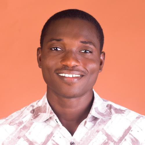 Oluwafemi A. || item.role}