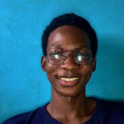 Oluwaseun A. - Software Engineer - Mobile, Web and General Development
