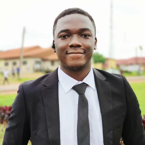 Oluyede S., developer