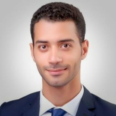 Omar H. - Lead Software Engineer - QA, Automation and Testing Platforms