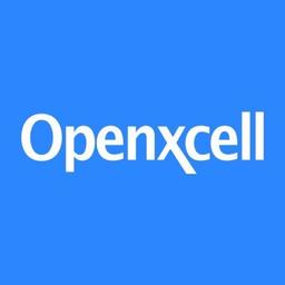 OpenXcell L. - Software Engineer - Blockchain, Smart Contracts and DeFi Platforms