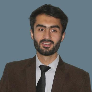 Owais A. - Software Engineer - Frontend, Modern Frameworks and AI Platforms