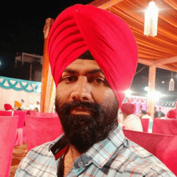 Palwinder S. - Lead Software Engineer - Web, WordPress and E-Commerce Platforms