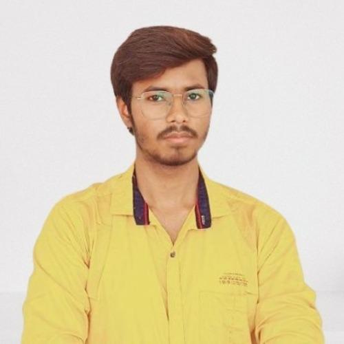 Praditya M. || item.role}