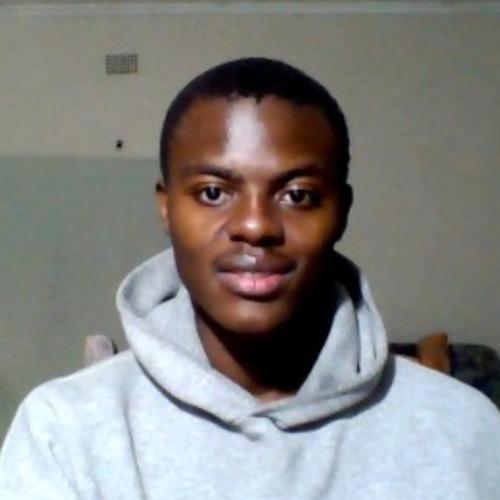 Prince E. - VueJs Developer