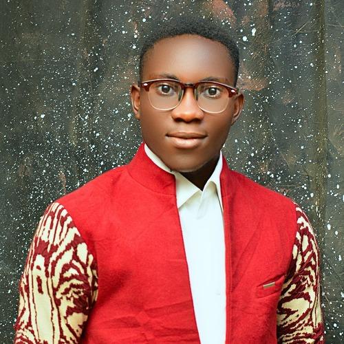 Profile of Promise O., Wix Designer at Softaims