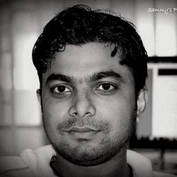 Promit D. - Lead Software Engineer - Web, E-Commerce and CMS Platforms