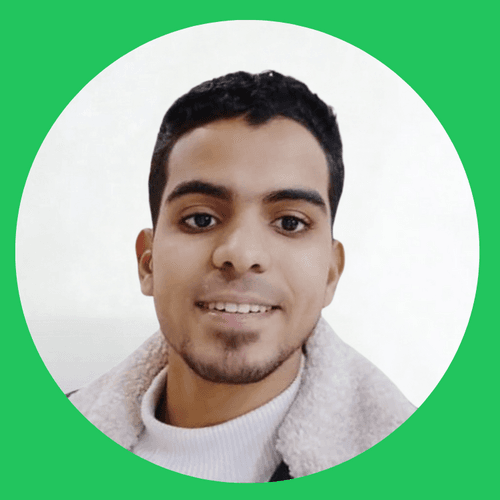 Radwan F. - AI Chatbot Engineer