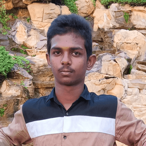 Raghava b. || item.role}