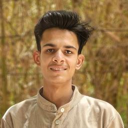 Raj N. - Junior Full-Stack Engineer - MERN Stack, Web Design and Mobile Platforms