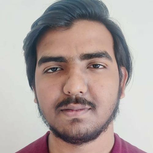 Raj S. || item.role}