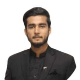 Raja H. - Software Engineer - Full-Stack, Web and Mobile Platforms