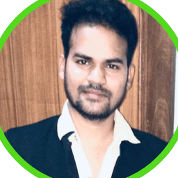 Rajveer S. - Lead Software Engineer - Cloud, Data Visualization and Google Platforms