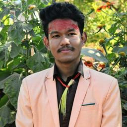 Rojash S. - Software Engineer - Web, Games and 3D Platforms