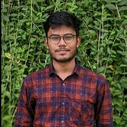 Rokibul H. - Senior Backend Engineer - AWS, Golang and DevOps Platforms