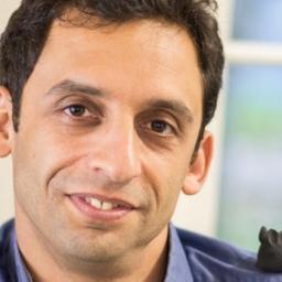 Roma S. - Lead Software Engineer - AI, Cybersecurity and Medical Platforms