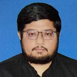 Roman A. - Software Engineer - Mobile, Game Development and iOS Platforms