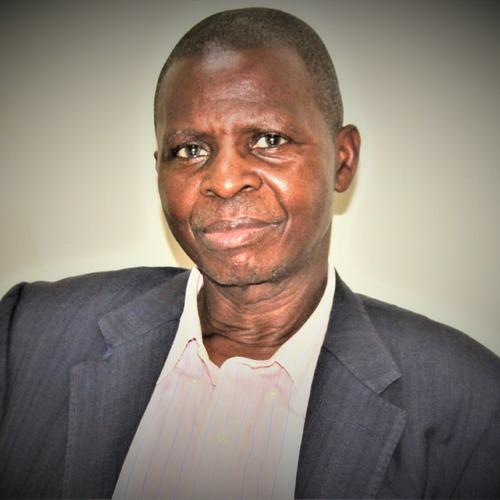 Profile of Rufaro L N., Senior Data Engineer - AI, Cloud and Data Analytics Platforms at Softaims