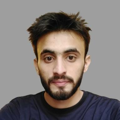 Saad S. - Senior Full-Stack Engineer - Node.js, React and Web Applications
