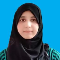 Saba K. - Software Engineer - Backend, Cloud and AI Platforms