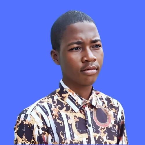 Saidu F. || item.role}