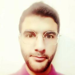 Salman A. - Lead Software Engineer - Cybersecurity, Social Media and Information Security