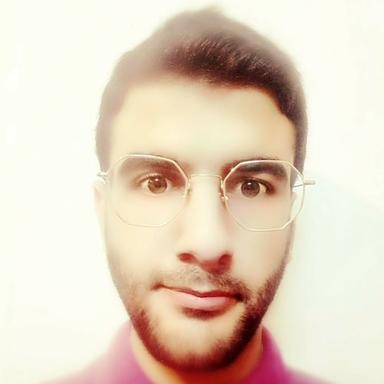 Salman A. - Lead Software Engineer - Cybersecurity, Social Media and Information Security